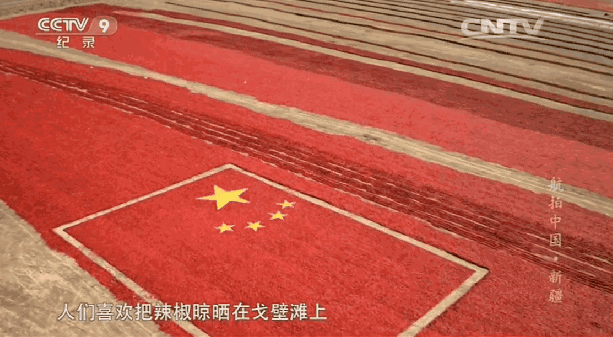 纪录片免费观看_纪录片_纪录片排行榜前十名