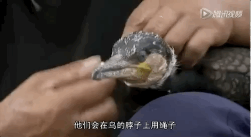 纪录片_纪录片最全的网站_纪录片《中国》