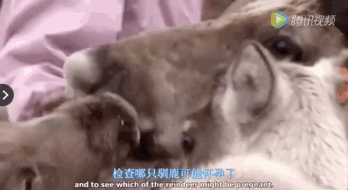 纪录片_纪录片最全的网站_纪录片《中国》