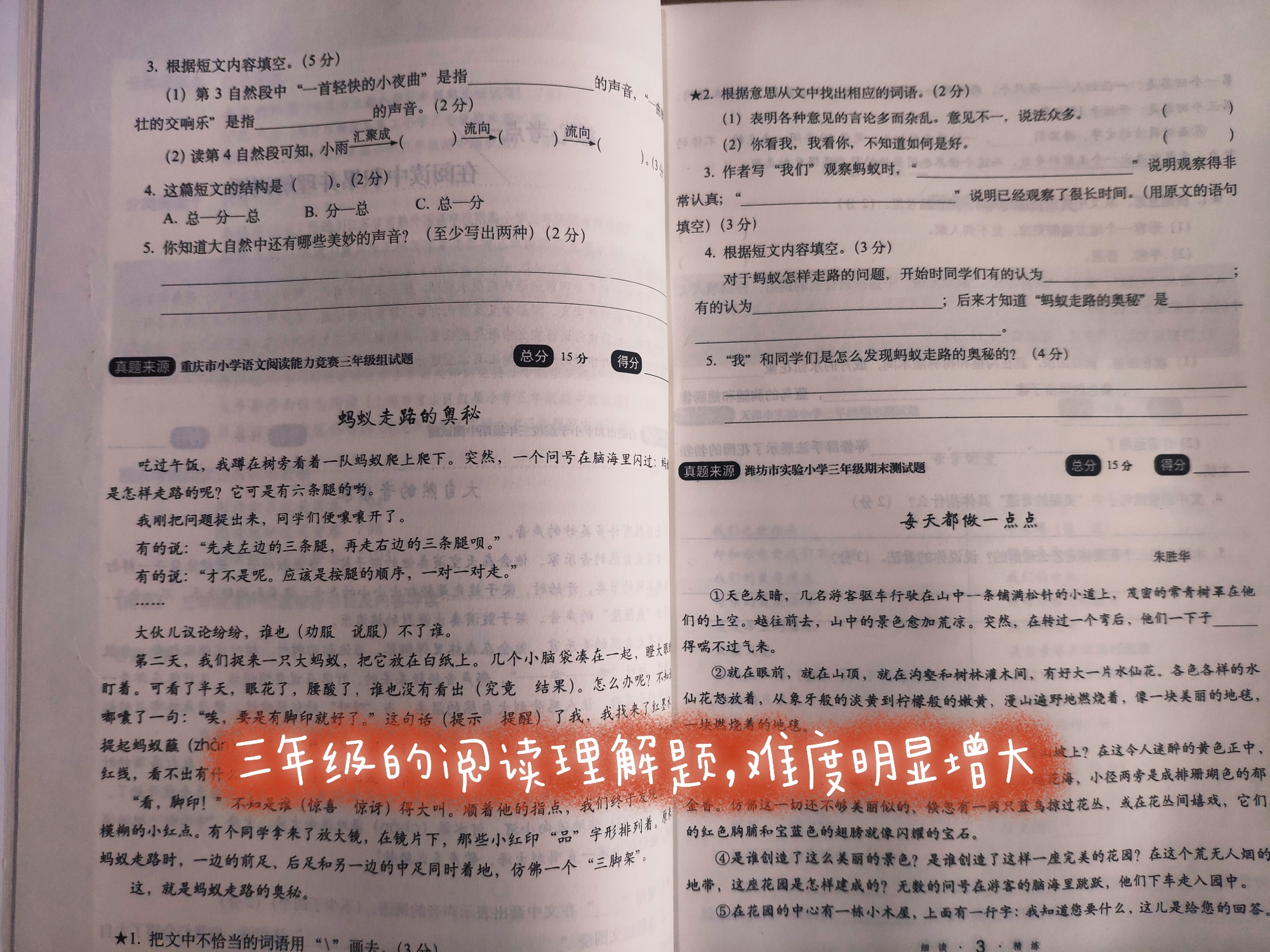 语文小学知识大全_语文小学三年级上册_小学语文
