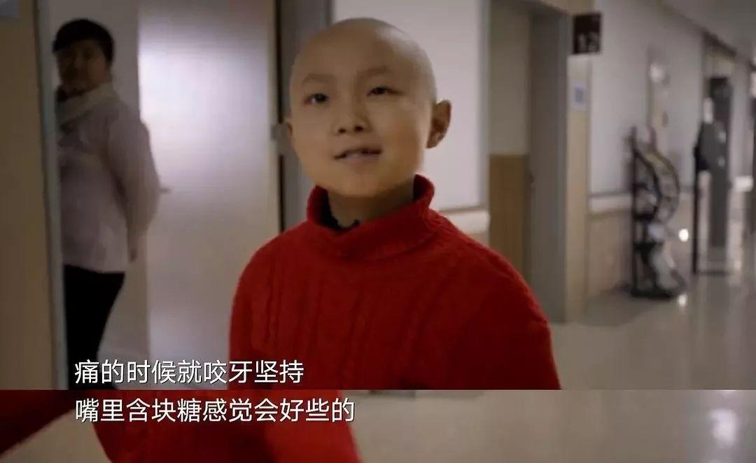 纪录片免费观看_纪录片《中国》_纪录片