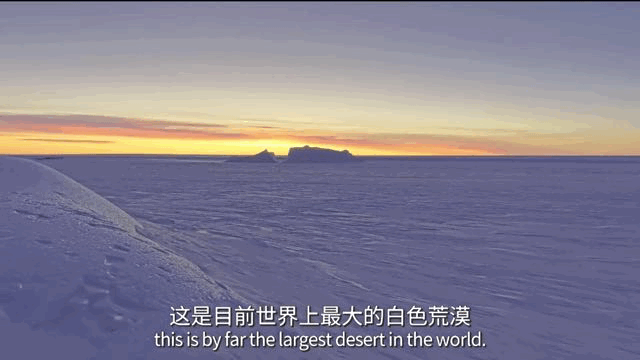 适合高中学生看的生物纪录片_高中生必看生物纪录片_适合高中生物课看的纪录片