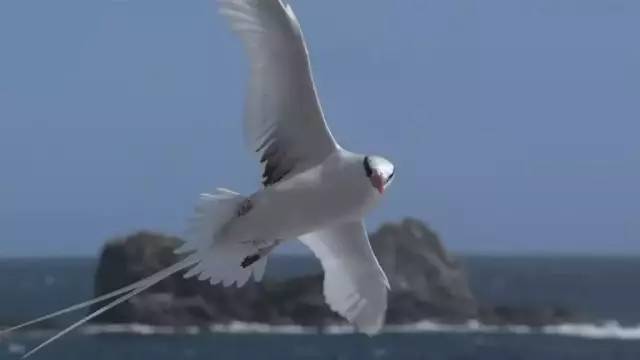 高中生必看生物纪录片_适合高中生物课看的纪录片_适合高中学生看的生物纪录片