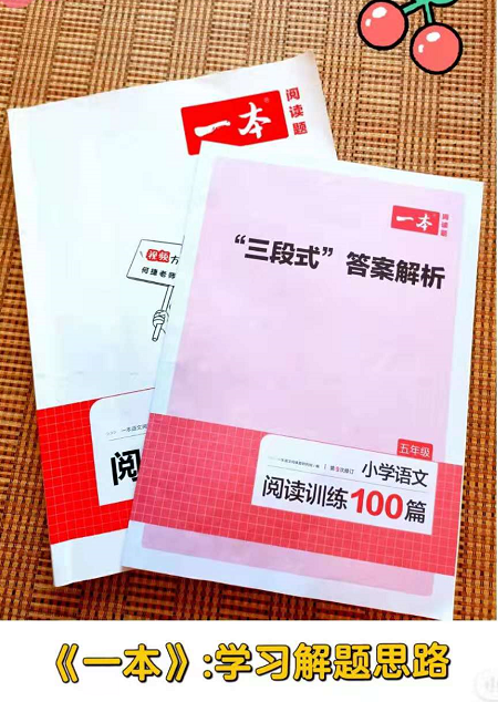 回顾孩子语文阅读提升和逆袭之路(附教辅和学习工具推荐)