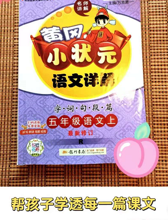 回顾孩子语文阅读提升和逆袭之路(附教辅和学习工具推荐)