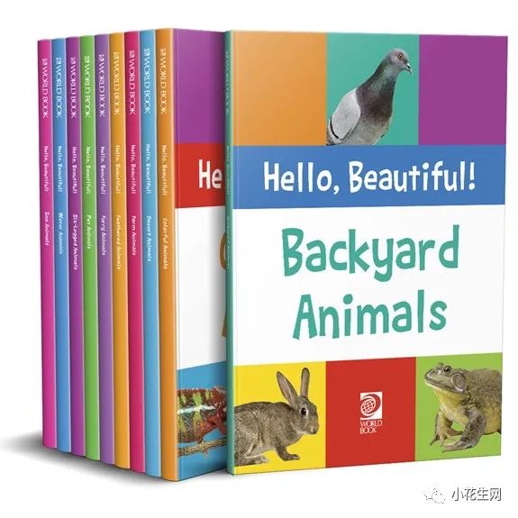 世界权威百科读物给孩子的科普绘本:构建认知框架,图片太美了!
