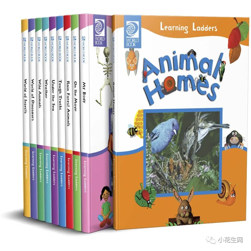 世界权威百科读物给孩子的科普绘本:构建认知框架,图片太美了!