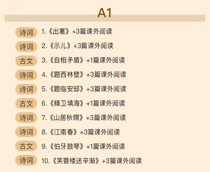 窦神大语文 ：豆伴匠（A系列），文言文、古诗词、翻译、鉴赏四大板块全覆盖 适合8-18岁孩子学习