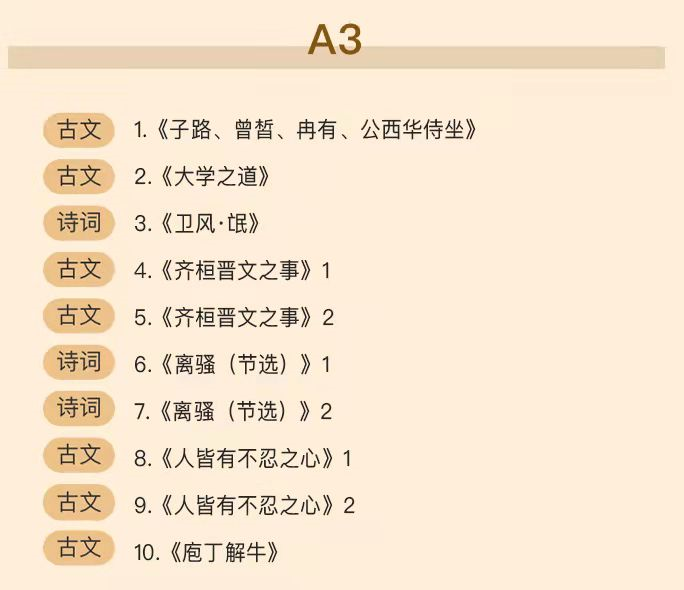 窦神大语文 ：豆伴匠（A系列），文言文、古诗词、翻译、鉴赏四大板块全覆盖 适合8-18岁孩子学习
