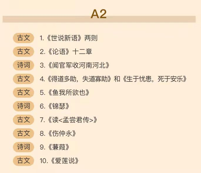 窦神大语文 ：豆伴匠（A系列），文言文、古诗词、翻译、鉴赏四大板块全覆盖 适合8-18岁孩子学习