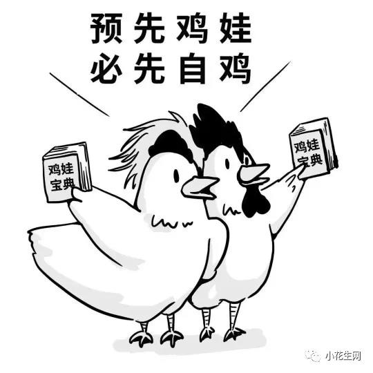我们大童曲折的英语启蒙之路