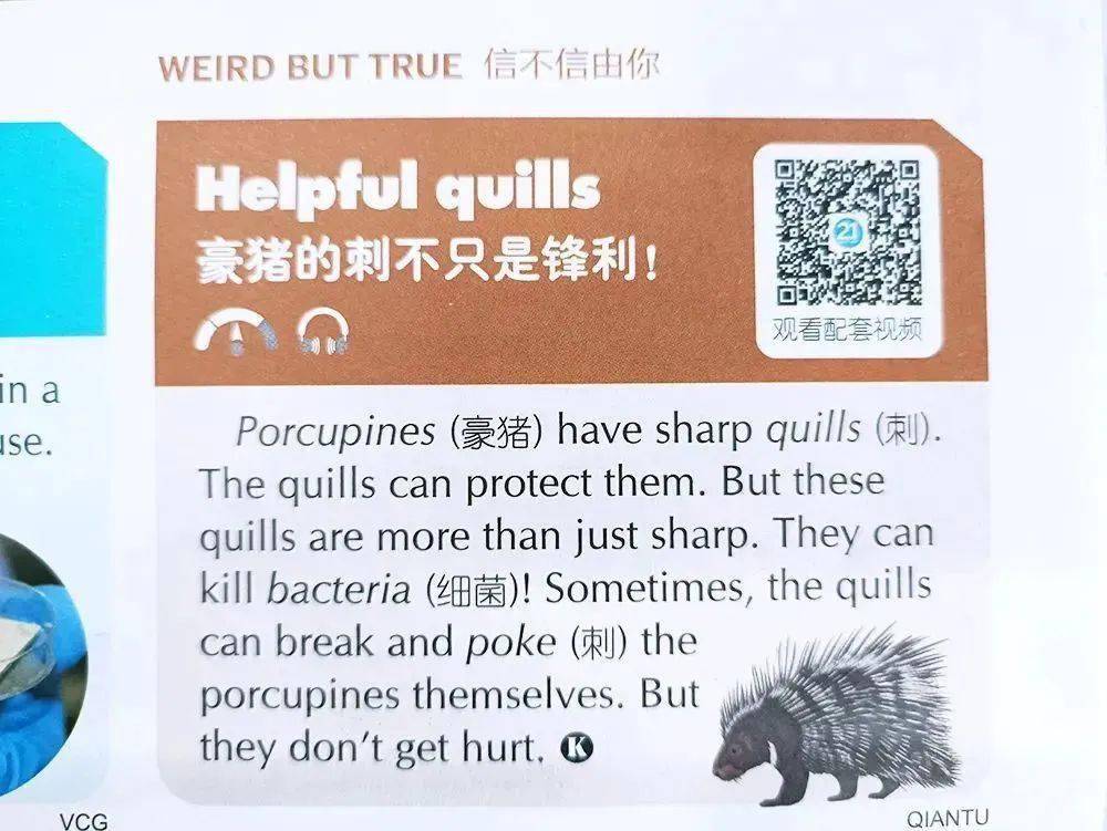 人手一份的《21世纪英文报》,小学/初中/高中都有,时事热点,全球文化,有了它一本全知