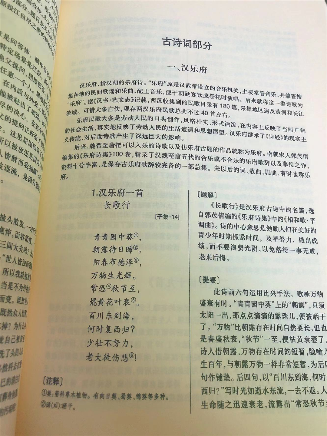 腹有诗书气自华——小红书《中华古诗文读本》我们怎么读?
