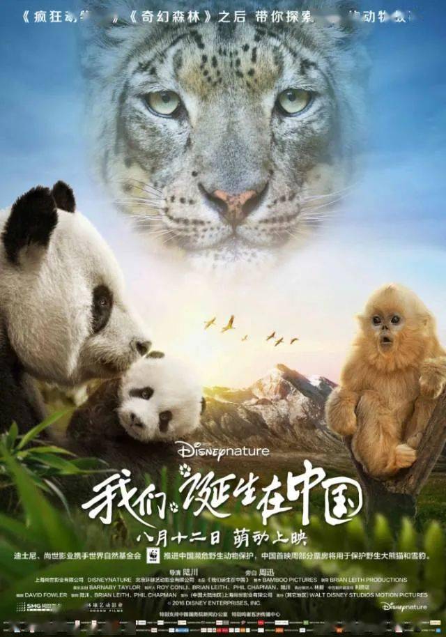 寒假在家,适合幼儿园小朋友观看的10部高分科普纪录片