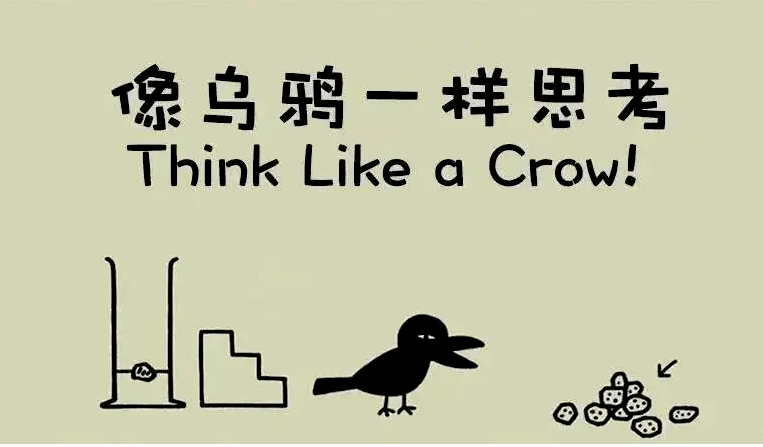 寒假在家,适合幼儿园小朋友观看的10部高分科普纪录片
