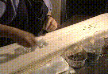 寒假在家,适合幼儿园小朋友观看的10部高分科普纪录片