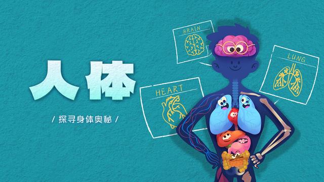 斑马百科“人体”主题奇幻上线！带领孩子们探寻身体奥秘