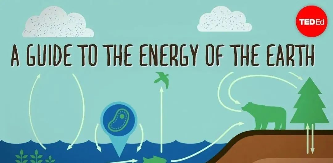 TED-Ed《了不起的自然》系列科普动画Awesome Nature 128集