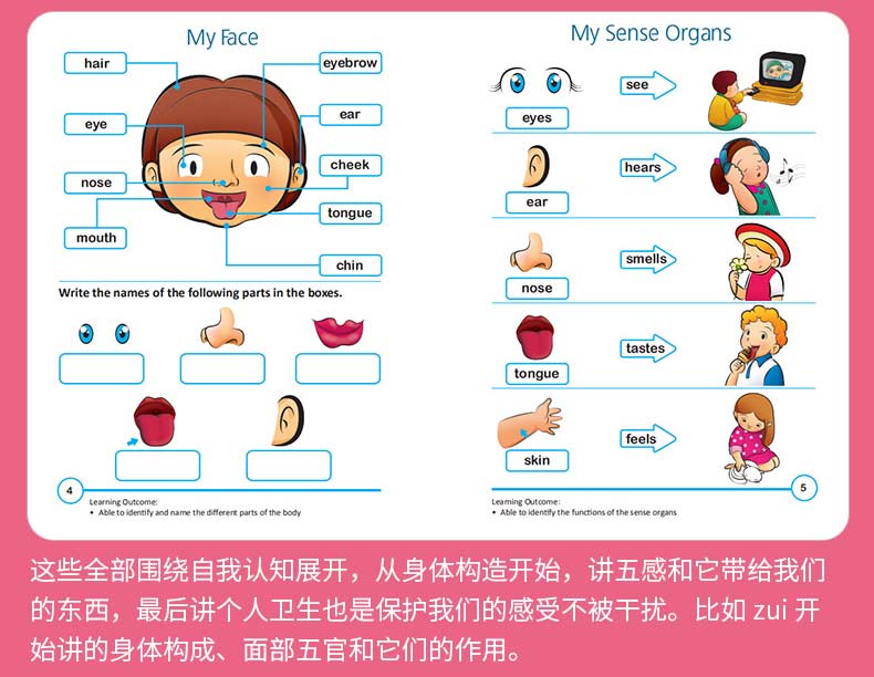 SAP Rainbow Science K1K2 彩虹幼儿园科学教辅8册套装-科学系列