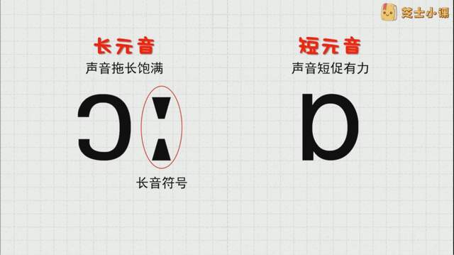 芝士小课《玩转48个国际音标》,脱口而出说英语趣味教学实操
