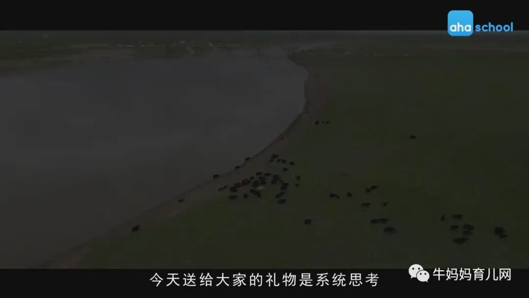 捕捉生命万象，探索大自然，少年第一堂中国地理课全套视频分享