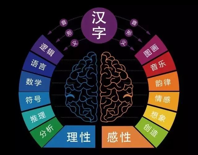 一上线就抢疯的《中华字课》,到底什么样?3000汉字大合集