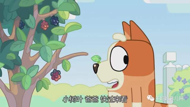 评分9.5!风靡澳洲的动画片《布鲁伊一家》,孩子看了停不下来
