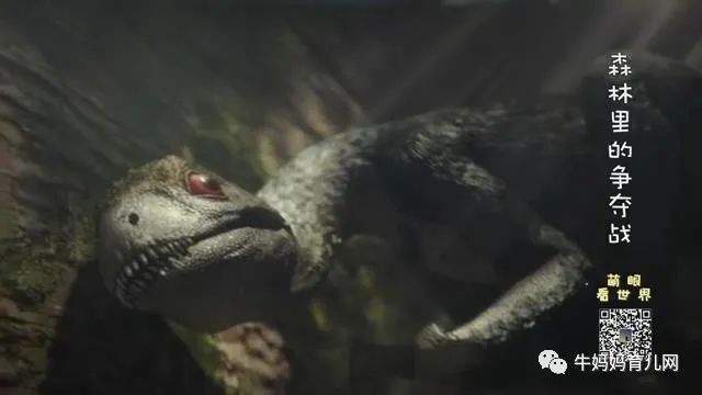 《萌眼看世界》大百科全套视频，4-12岁孩子的全脑科学课堂