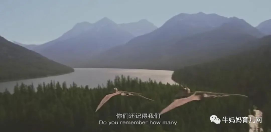 12集《探秘恐龙世界》中英双语纪录片,让孩子走进未知新世界