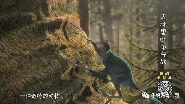 《萌眼看世界》大百科全套视频，4-12岁孩子的全脑科学课堂