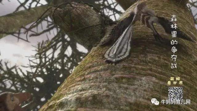 《萌眼看世界》大百科全套视频，4-12岁孩子的全脑科学课堂