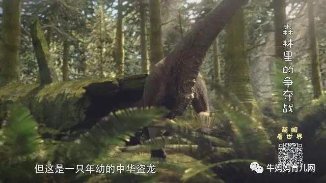 《萌眼看世界》大百科全套视频，4-12岁孩子的全脑科学课堂