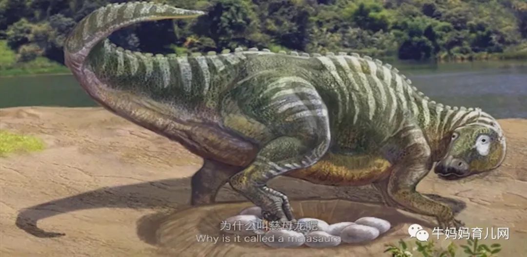 12集《探秘恐龙世界》中英双语纪录片,让孩子走进未知新世界