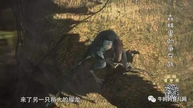 《萌眼看世界》大百科全套视频，4-12岁孩子的全脑科学课堂