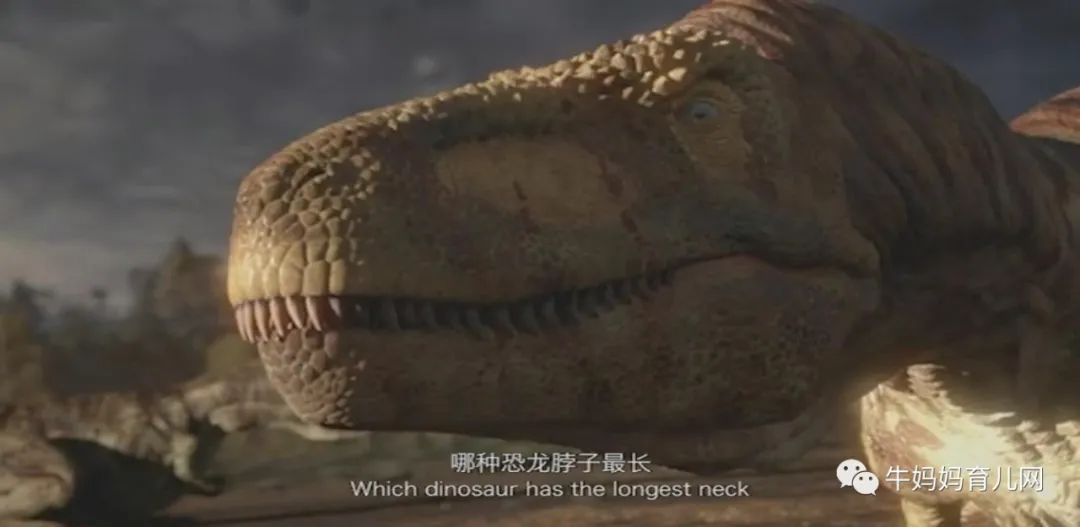 12集《探秘恐龙世界》中英双语纪录片,让孩子走进未知新世界