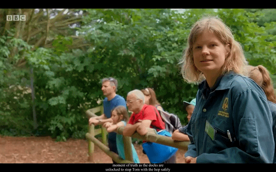 BBC儿童动物园喜剧《The Zoo》(1+2季),激活孩子英语学习潜能