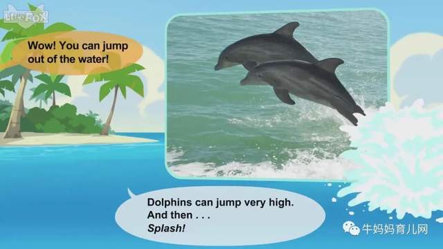 英文动画片《Meet the Animals》认识动物 英语启蒙 全集（阿里云盘）