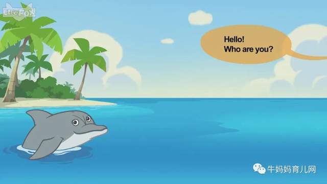 英文动画片《Meet the Animals》认识动物 英语启蒙 全集（阿里云盘）