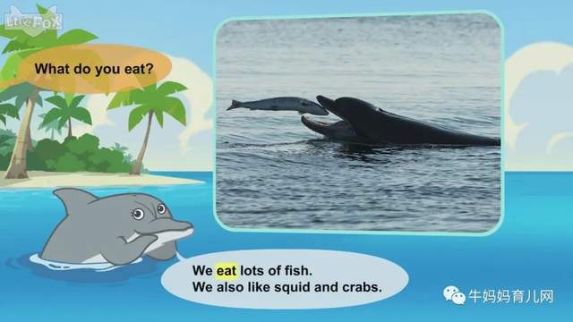 英文动画片《Meet the Animals》认识动物 英语启蒙 全集（阿里云盘）