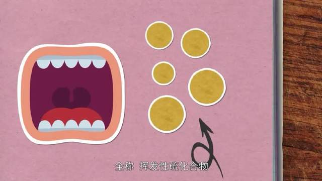 科学启蒙 | 科普动画《奇妙的世界》120集中文版，分分钟让孩子爱上科学