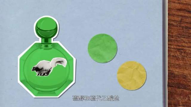 科学启蒙 | 科普动画《奇妙的世界》120集中文版，分分钟让孩子爱上科学