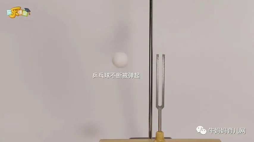 下载!小小科学家45集视频,每个小朋友都有“十万个为什么”
