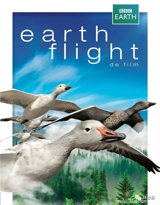 下载！纪录片分享 | BBC《鸟瞰地球 Earthflight》
