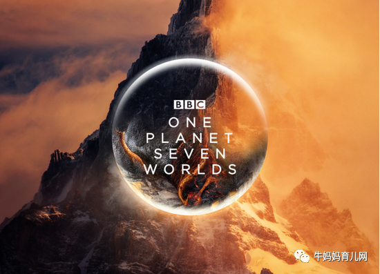BBC神作!豆瓣9.8分《七个世界,一个星球》(阿里云盘)
