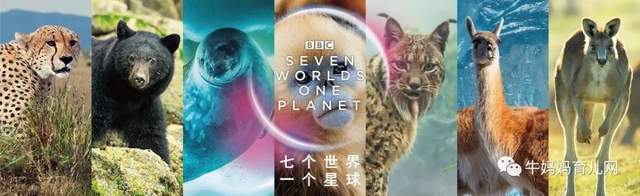 BBC神作!豆瓣9.8分《七个世界,一个星球》(阿里云盘)