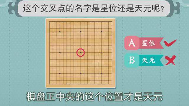 小喵小汪学围棋，30节视频课程让孩子静气、磨性子、玩出大智慧