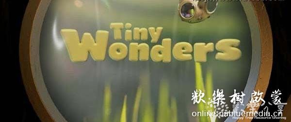 BBC Tiny_Wonders S1 探索自然世界的微小奇观（带英文字幕）10集