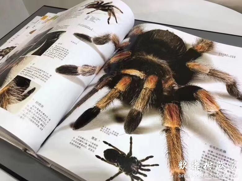 DK博物大百科:自然界的视觉盛宴-PDF扫描版本