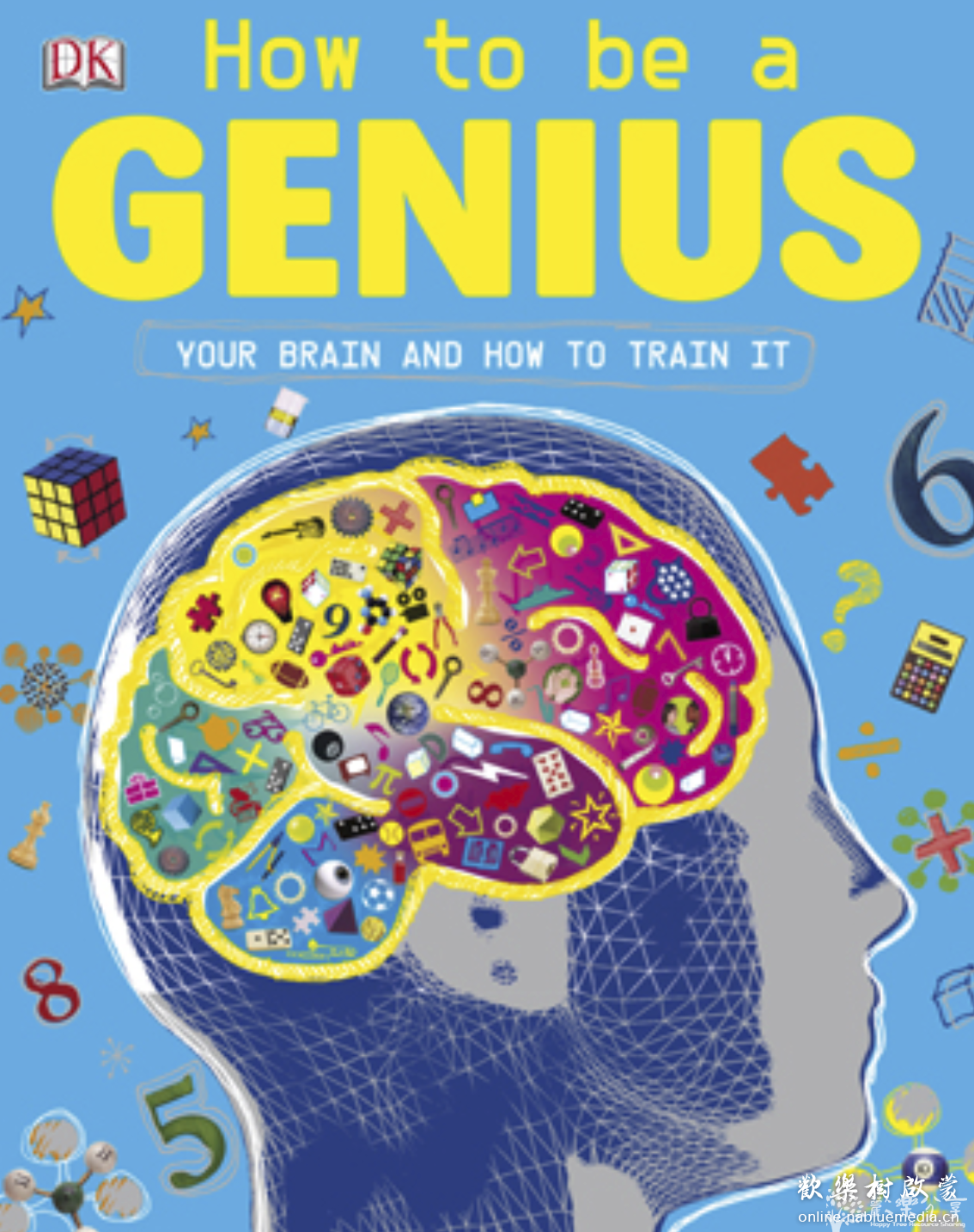 儿童大脑训练宝典：DK出品How to be a GENIUS，逐渐成长为天才