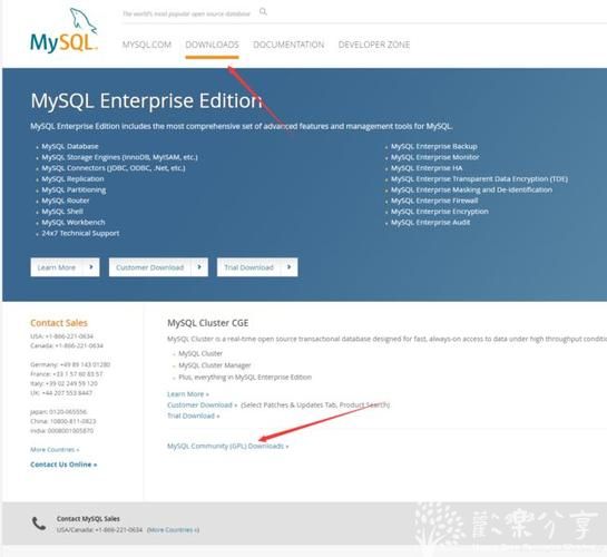 千锋教育MySQL8.0保姆级教程，MySQL下载、安装及配置教程